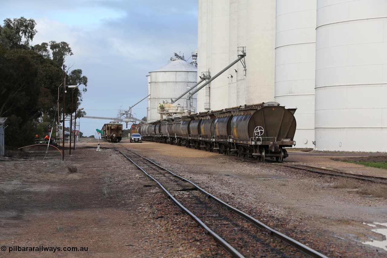 130705 0602
Lock, down end looking up towards Port Lincoln with silo blocks #5 and #1 with loading taking place, the horizontal bunker #4 is on the left where the overhead augers are going. Loaded portion sitting on the mainline.
