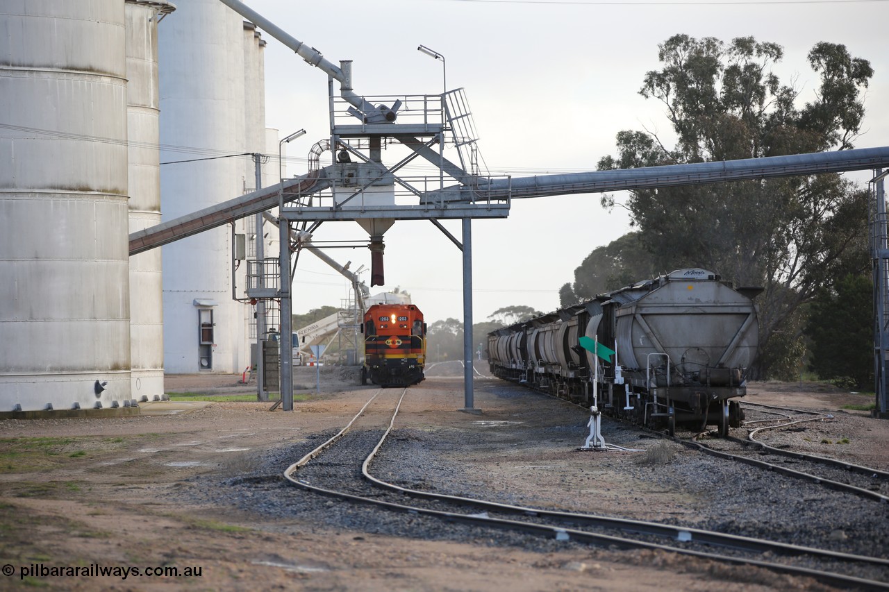 130705 0604
Lock, up end looking down through Lock, Viterra fast loader loading train while loaded portion sits on the mainline.
