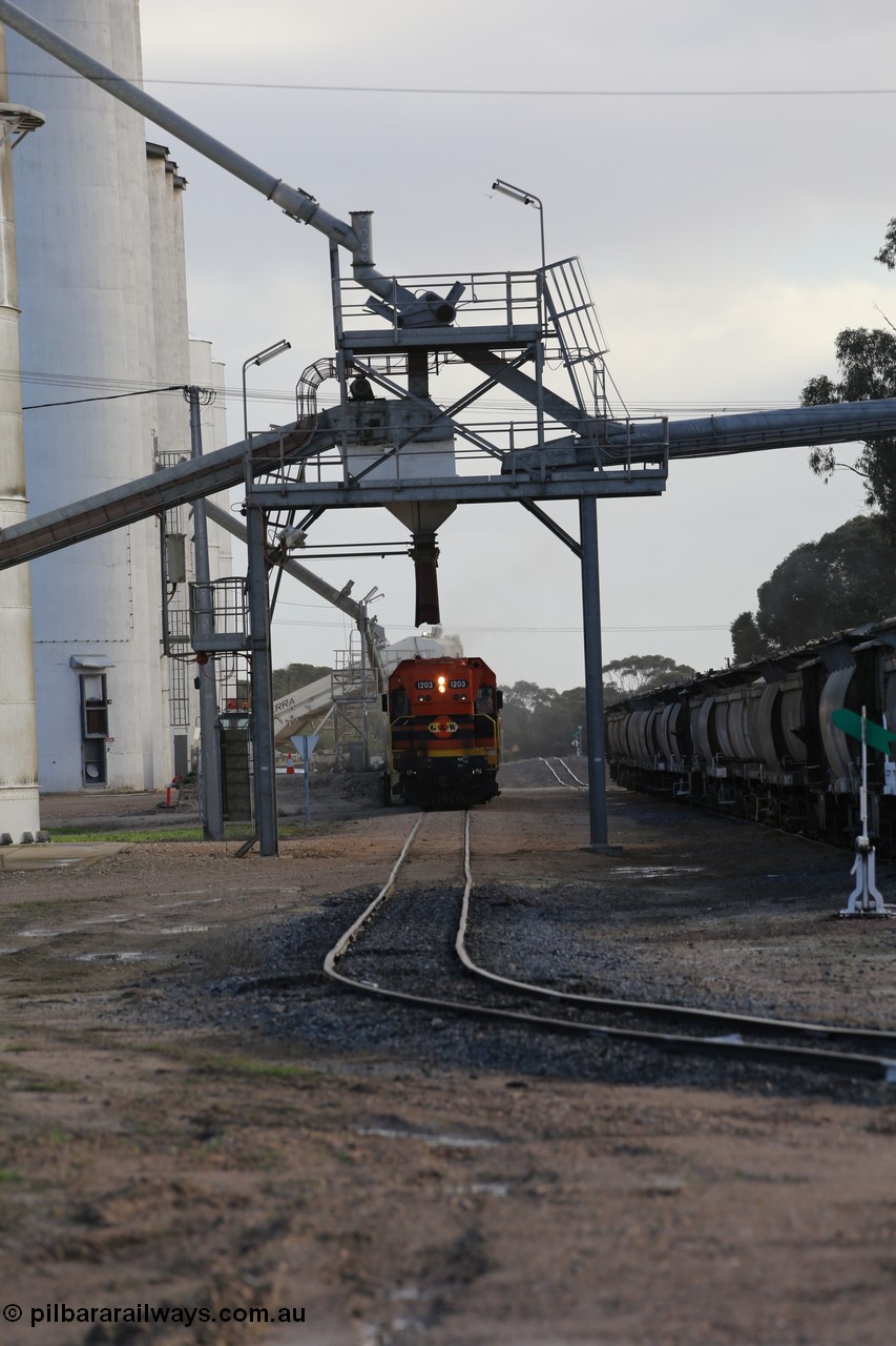 130705 0605
Lock, up end looking down through Lock, Viterra fast loader loading train while loaded portion sits on the mainline.
