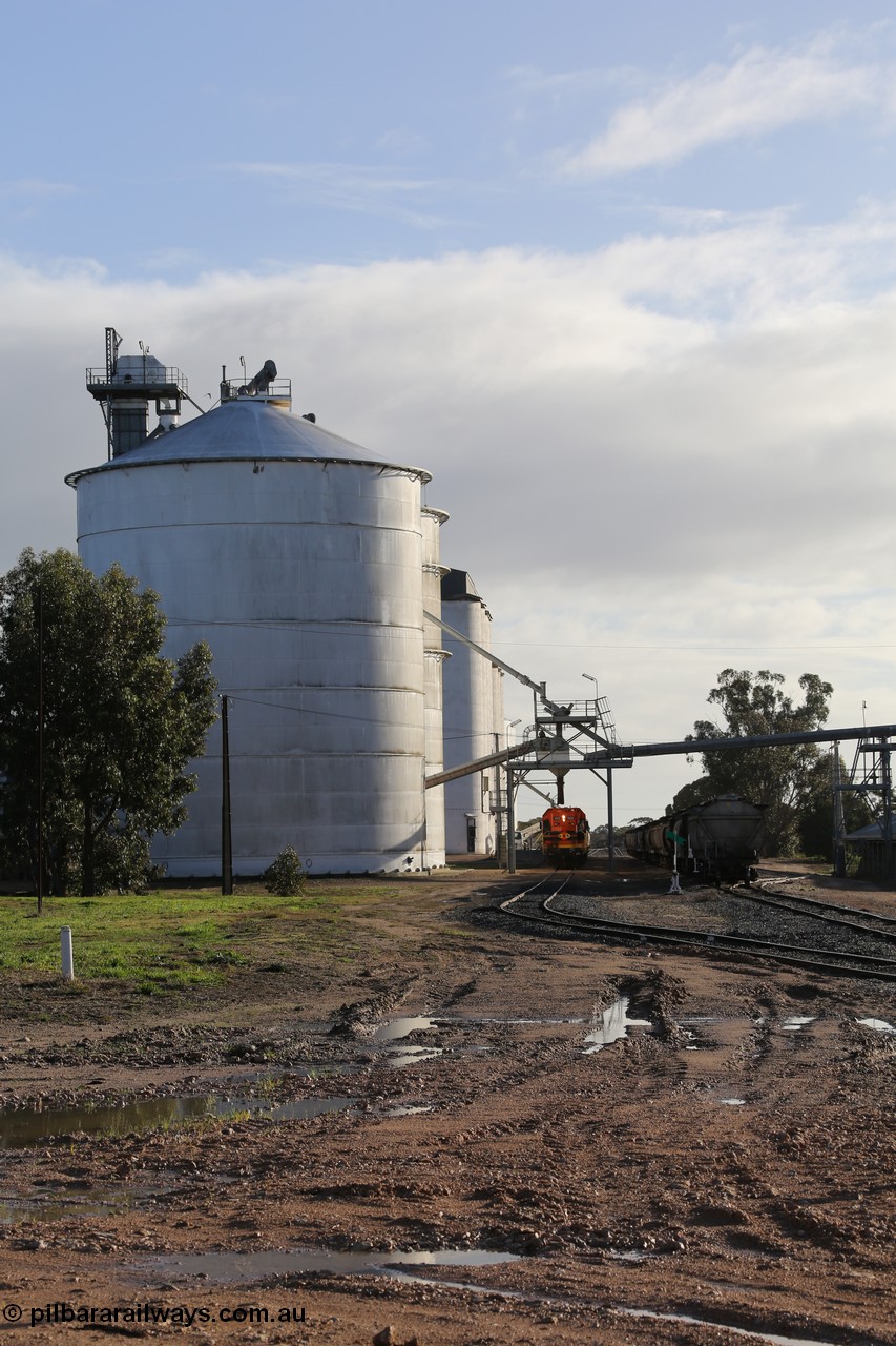 130705 0611
Lock, up end looking down through Lock, Ascom silo block #5 on the left, Viterra fast loader loading train while loaded portion sits on the mainline.
