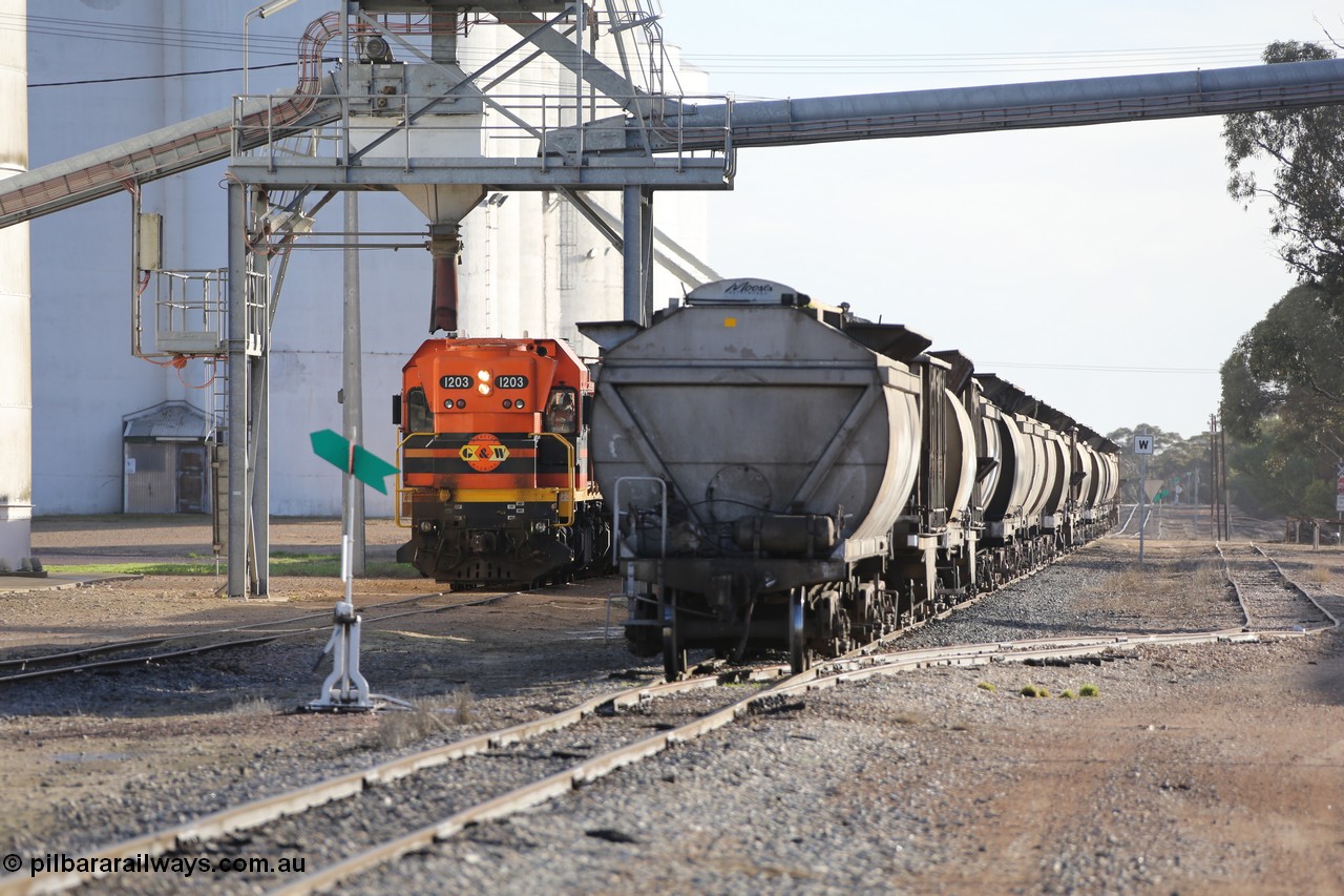 130705 0612
Lock, with loading finished, 1203 leads the final portion along goods siding #1 as it prepares to shunt back onto the loaded portion on the mainline for departure to Port Lincoln.
