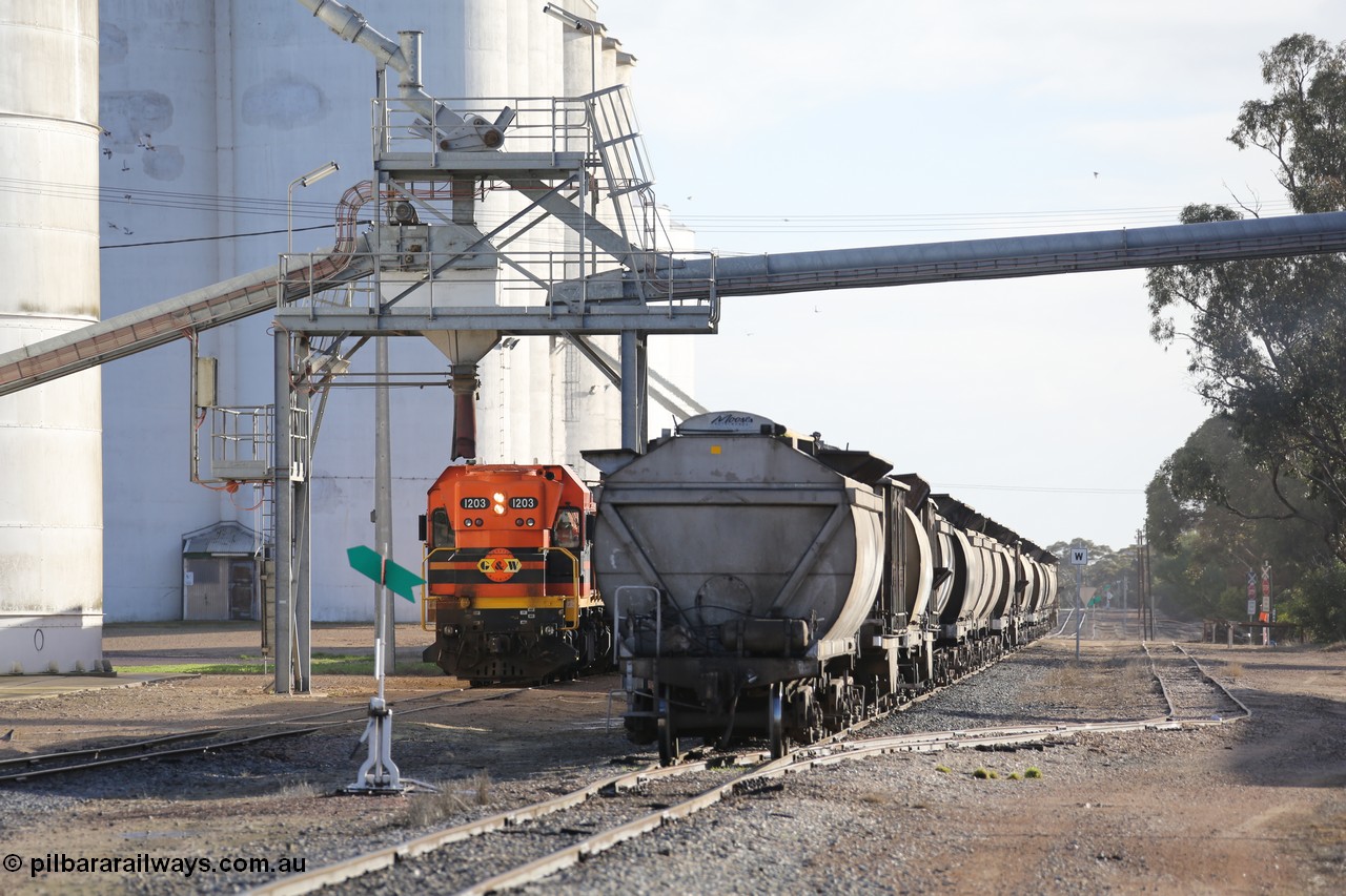 130705 0613
Lock, with loading finished, 1203 leads the final portion along goods siding #1 as it prepares to shunt back onto the loaded portion on the mainline for departure to Port Lincoln.
