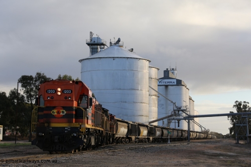 130705 0540
Lock, grain train loading in progress with the Viterra fast flow auger in the distance, the train with 1203, 846 and 859 is about to split and shunt half the consist onto the mainline. July 5, 2013.
Keywords: 1200-class;1203;Clyde-Engineering-Granville-NSW;EMD;G12C;65-427;A-class;A1513;