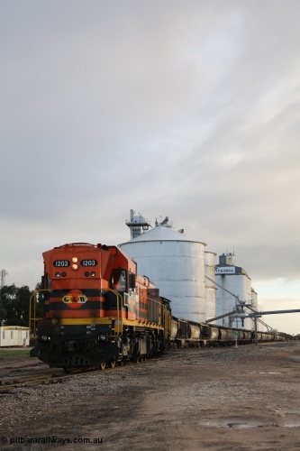130705 0542
Lock, grain train loading in progress with the Viterra fast flow auger in the distance, the train with 1203, 846 and 859 is about to split and shunt half the consist onto the mainline. July 5, 2013.
Keywords: 1200-class;1203;Clyde-Engineering-Granville-NSW;EMD;G12C;65-427;A-class;A1513;