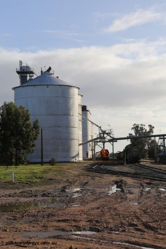 130705 0611
Lock, up end looking down through Lock, Ascom silo block #5 on the left, Viterra fast loader loading train while loaded portion sits on the mainline.
