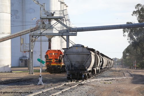 130705 0613
Lock, with loading finished, 1203 leads the final portion along goods siding #1 as it prepares to shunt back onto the loaded portion on the mainline for departure to Port Lincoln.
