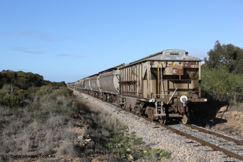 130705 0663
Lock, HBN type dual use ballast / grain hopper waggons, HBN 11 still with side gangways in place. One of seventeen built by South Australian Railways Islington Workshops in 1968 with a 25 ton capacity, increased to 34 tons in 1974. HBN 1-11 fitted with removable tops and roll-top hatches in 1999-2000. July 5, 2013.
Keywords: HBN-type;HBN11;1968/17-11;SAR-Islington-WS;