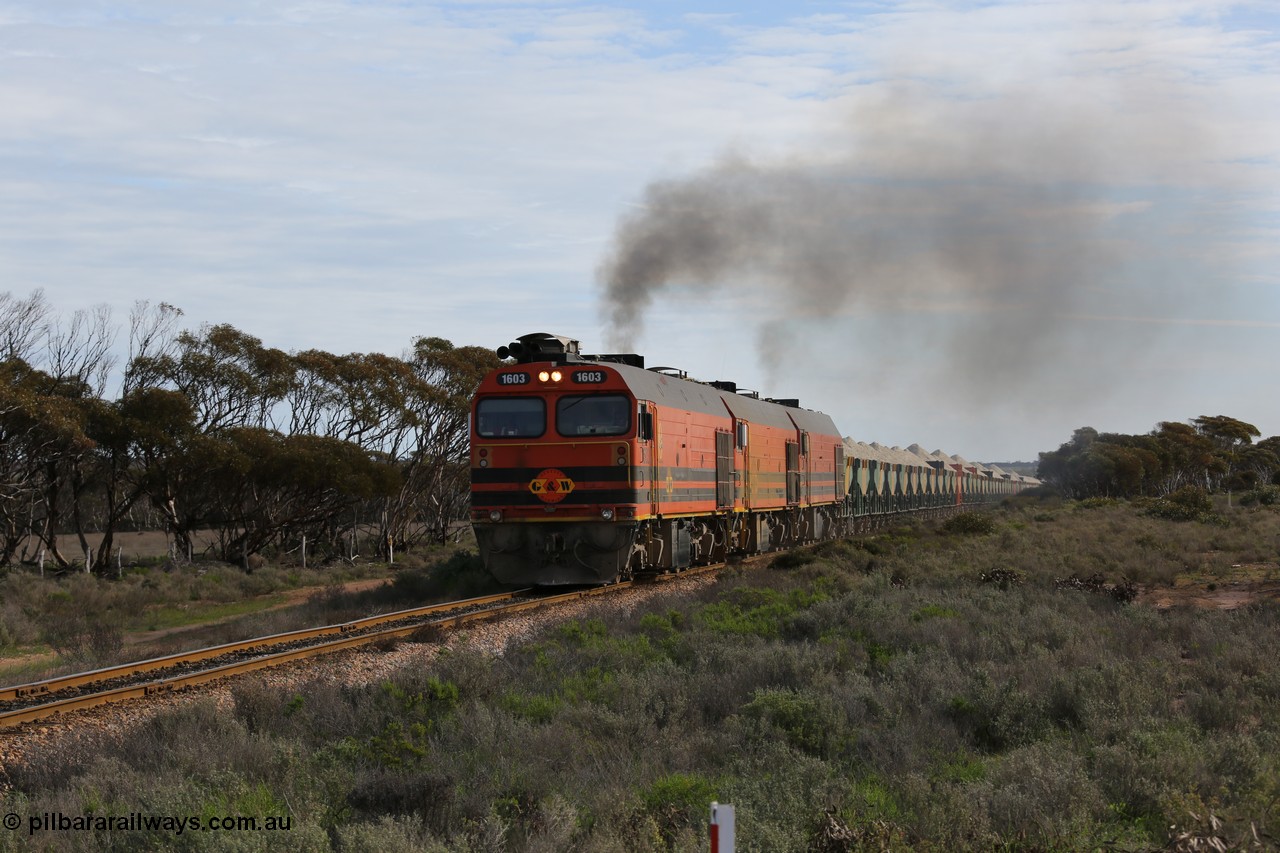 130708 0734
Charra, [url=https://goo.gl/maps/fnkK0]Charoban Rd grade crossing, 477.8 km[/url].
