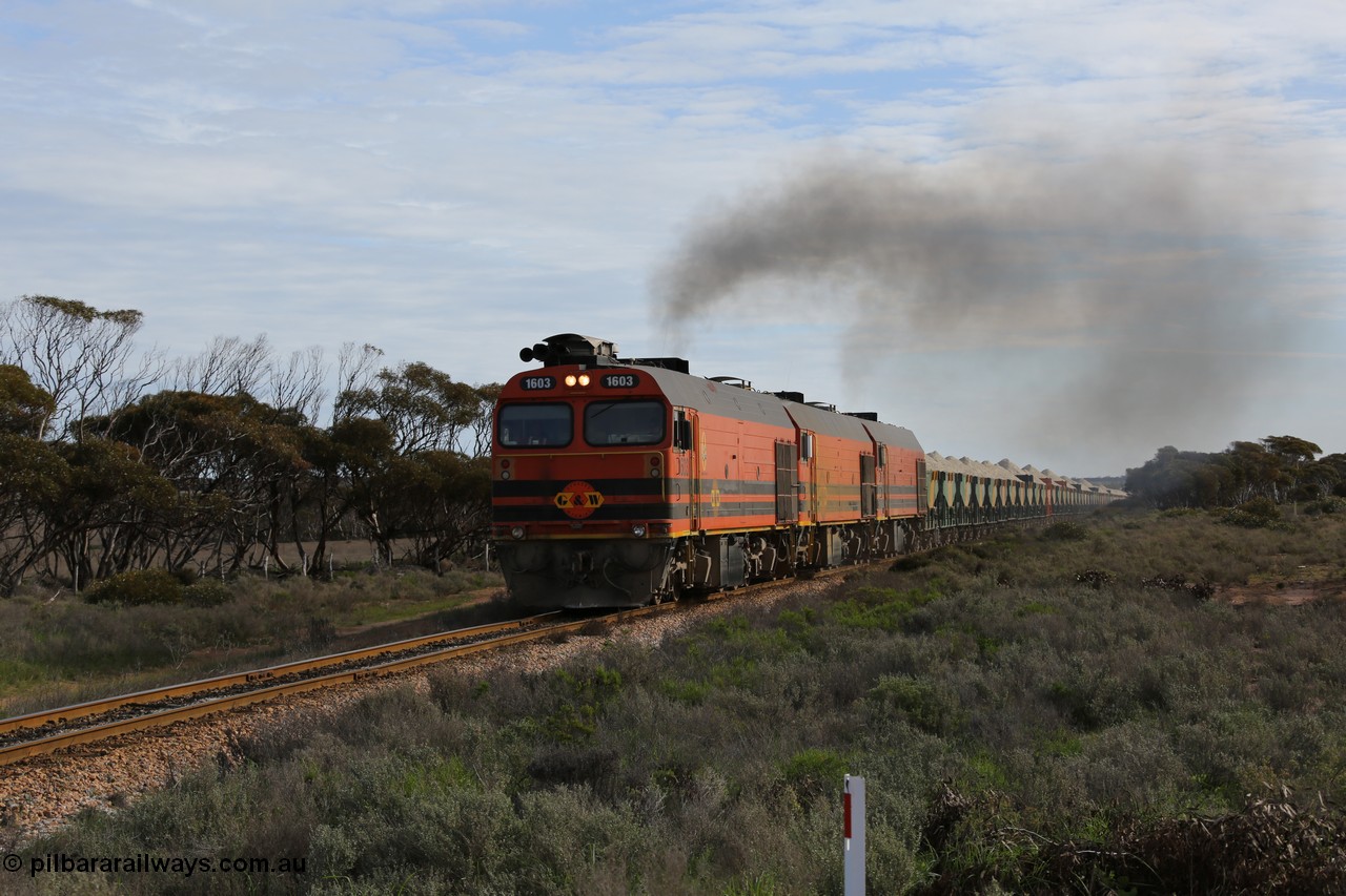 130708 0735
Charra, [url=https://goo.gl/maps/fnkK0]Charoban Rd grade crossing, 477.8 km[/url].
