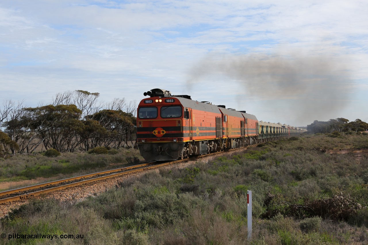 130708 0736
Charra, [url=https://goo.gl/maps/fnkK0]Charoban Rd grade crossing, 477.8 km[/url].
