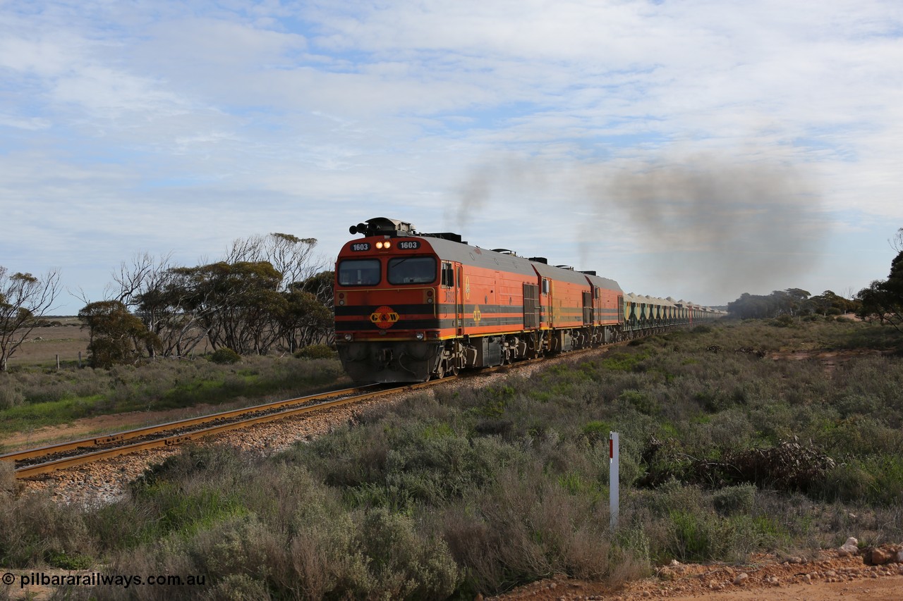 130708 0737
Charra, [url=https://goo.gl/maps/fnkK0]Charoban Rd grade crossing, 477.8 km[/url].
