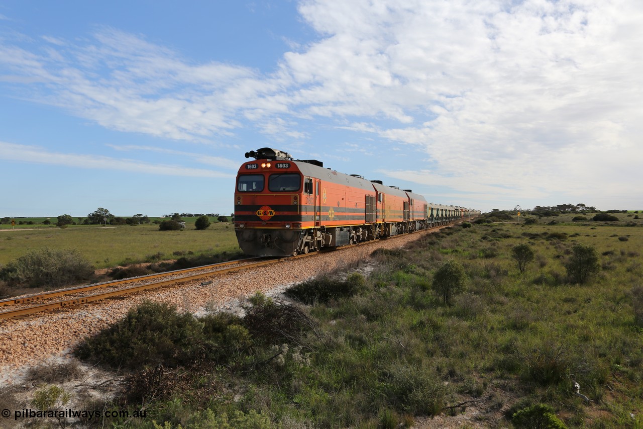 130708 0809
Moule, [url=https://goo.gl/maps/SWBMW]Mewett Rd grade crossing, 470.1 km[/url].
