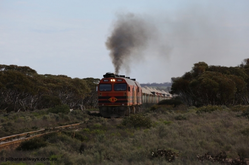 130708 0729
Charra, [url=https://goo.gl/maps/fnkK0]Charoban Rd grade crossing, 477.8 km[/url].
