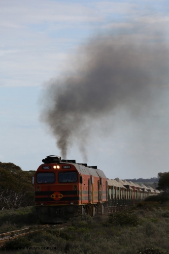 130708 0731
Charra, [url=https://goo.gl/maps/fnkK0]Charoban Rd grade crossing, 477.8 km[/url].
