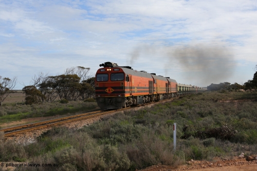 130708 0737
Charra, [url=https://goo.gl/maps/fnkK0]Charoban Rd grade crossing, 477.8 km[/url].
