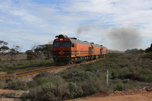 130708 0738
Charra, [url=https://goo.gl/maps/fnkK0]Charoban Rd grade crossing, 477.8 km[/url].
