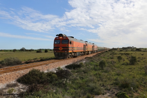 130708 0809
Moule, [url=https://goo.gl/maps/SWBMW]Mewett Rd grade crossing, 470.1 km[/url].
