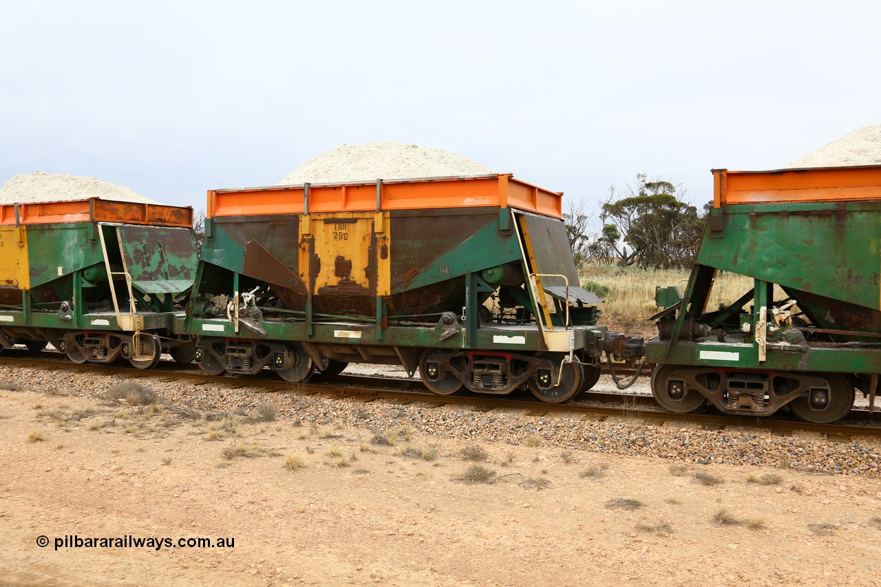 161109 1919
Moule, originally built by Kinki Sharyo as the NH type for the NAR in 1968, sent to Port Lincoln in 1978, then rebuilt and recoded ENH type in 1984, ENH 25 with newish hungry boards loaded with gypsum.
Keywords: ENH-type;ENH25;Kinki-Sharyo-Japan;NH-type;NH925;