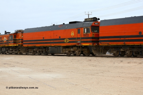 161109 1972
Thevenard, train 4DD4 rumbles across Bergmann Drive with second unit Genesee & Wyoming locomotive Clyde Engineering EMD model JL22C unit 1603 serial 71-730, 1603 was originally built as a member of the NJ class NJ 3 and after starting life on the Central Australia line was transferred to the Eyre Peninsula in 1981.
Keywords: 1600-class;1603;Clyde-Engineering-Granville-NSW;EMD;JL22C;71-730;NJ-class;NJ3;