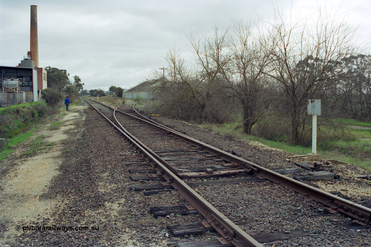 107-03
Kyabram track view, Kyabram Fruit Packers siding points spiked for normal, packing shed on the right, Southern Can Company on the left.
