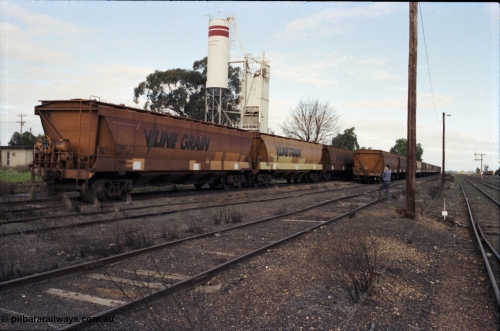 107-20
Echuca station yard view, Sidings B and cement siding, broad gauge V/Line Grain VHGF type bogie grain waggons, VHGF 405 built new in October 1984 by V/Line Ballarat North Workshops as a VHGY type, recoded in 1988.
Keywords: VHGF-type;VHGF405;V/Line-Ballarat-Nth-WS;VHGY-type;