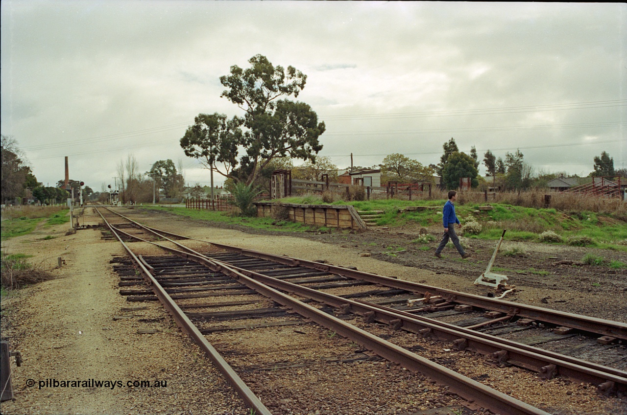 108-36
Kyabram station yard north end, looking towards Echuca, cattle yards and ramp at right.
