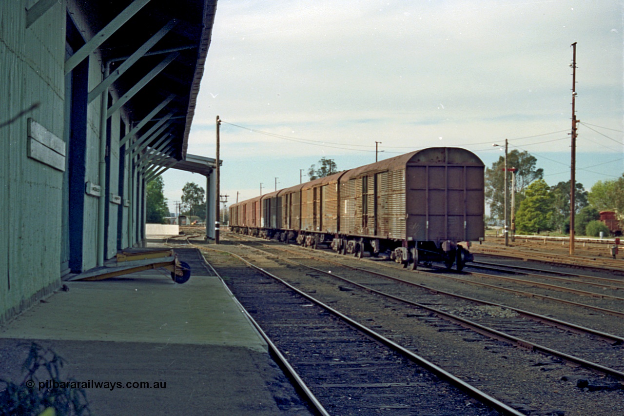 110-09
Benalla yard view, NSW louvre vans, looking north from goods shed loading platform.
