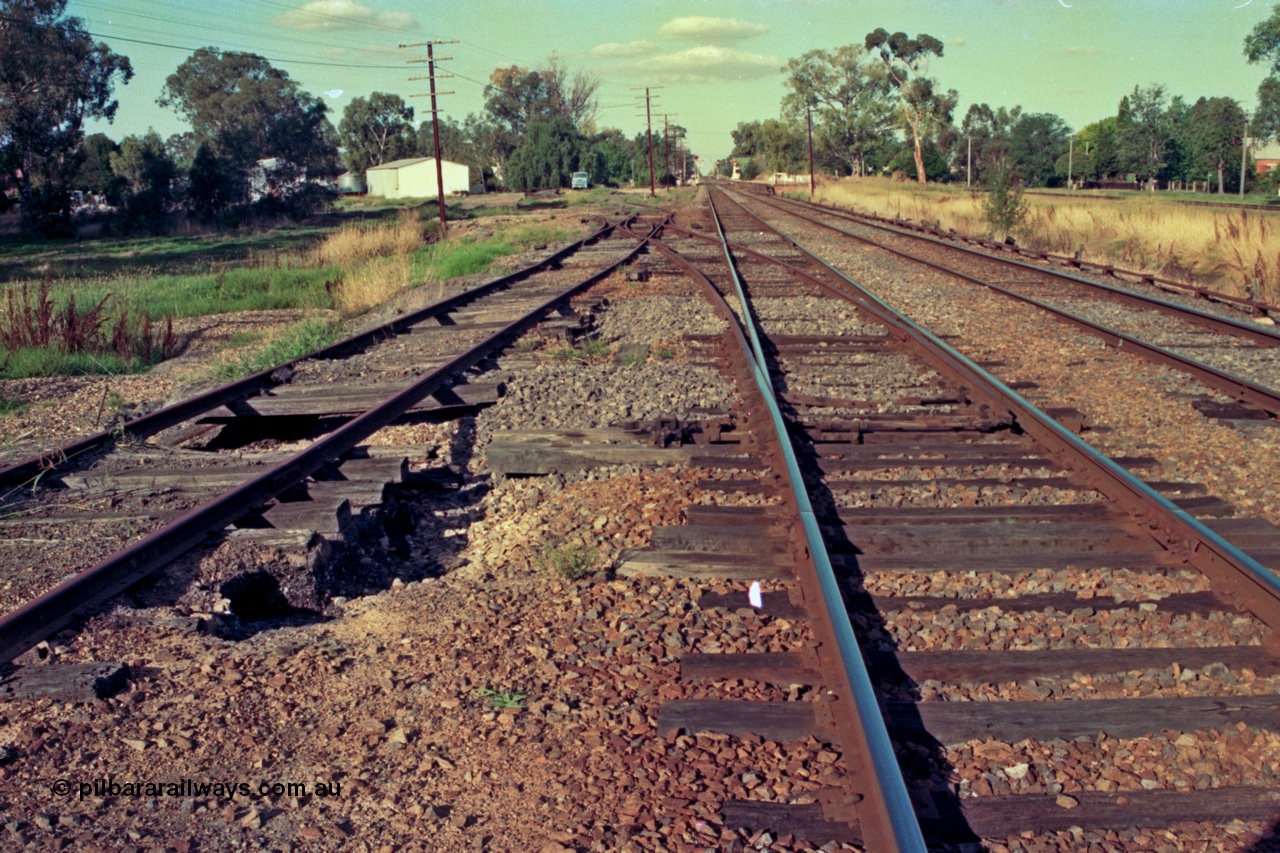 112-02
Violet Town broad gauge track view, looking north, Siding B at left, points leading to yard have been spiked normal, point rodding at right and standard gauge line at far right, March 1994.
