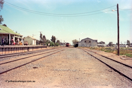 114-01
Cobram, station yard overview, station building, down pass arriving.
