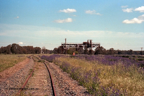 114-16
Tocumwal station yard, looking south, on standard gauge track, cranes to the right.
