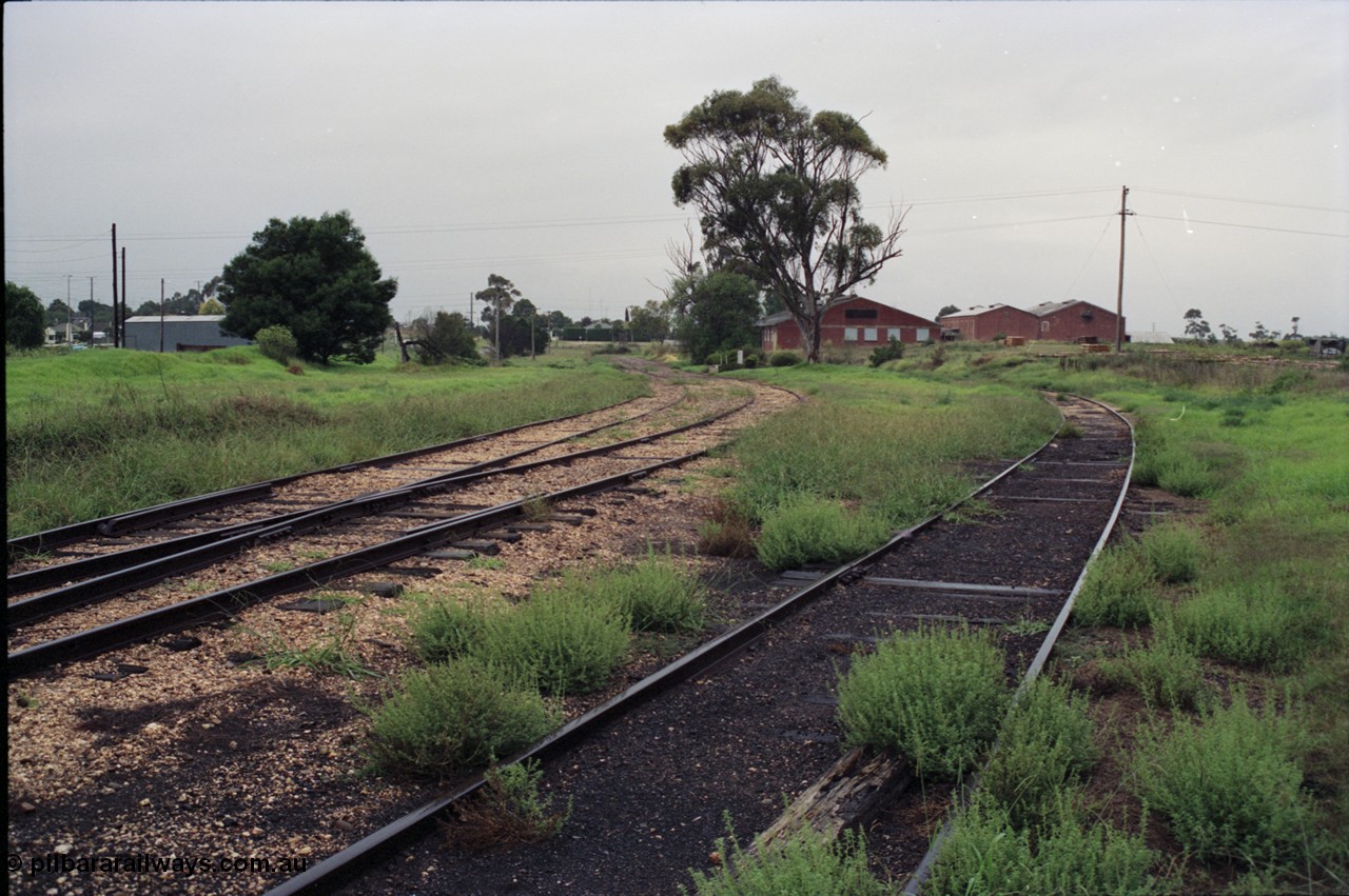 123-2-10
Maffra yard overview, Sidings A, Milk Co-op buildings.
