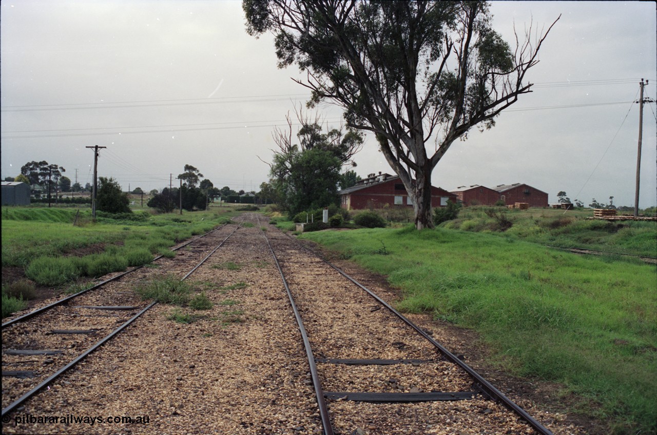 123-2-13
Maffra yard overview, Sidings A, looking at Milk Co-op buildings, Maffra station platform to left of frame.
