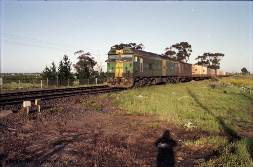 127-19
Deer Park West, broad gauge Australian National BL class BL 31 Clyde Engineering EMD model JT26C-2SS serial 83-1015 in AN livery leads an up goods train into Melbourne on the double track.
Keywords: BL-class;BL31;Clyde-Engineering-Rosewater-SA;EMD;JT26C-2SS;83-1015;