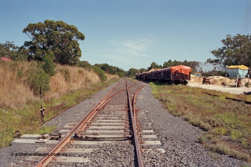 129-2-35
Buffalo station overview, looking towards Melbourne, from east end, points and point lever, super phosphate waggons in yard.

