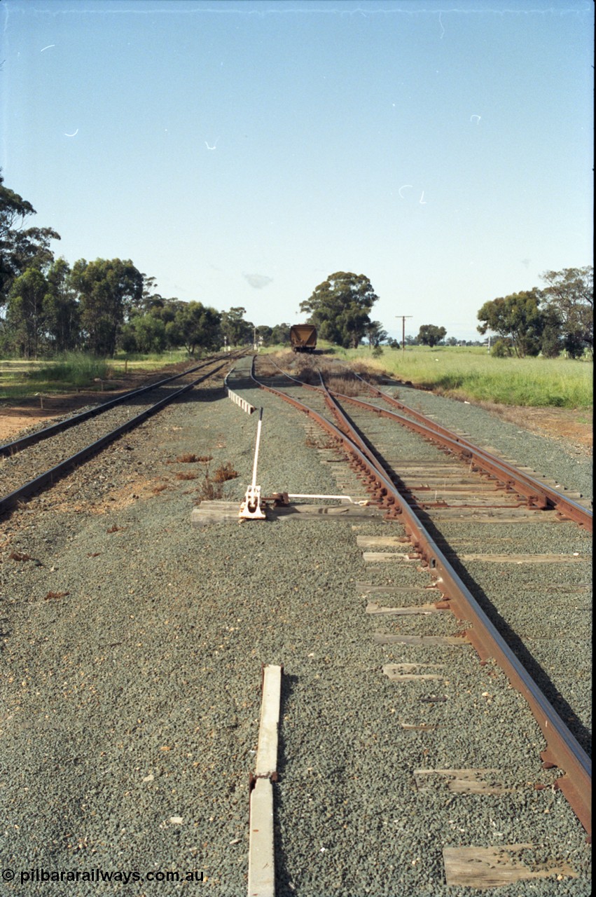 130-04
Elmore yard view, looking south, shows gravity roads for grain loading, grain waggon in distance, points and lever.
