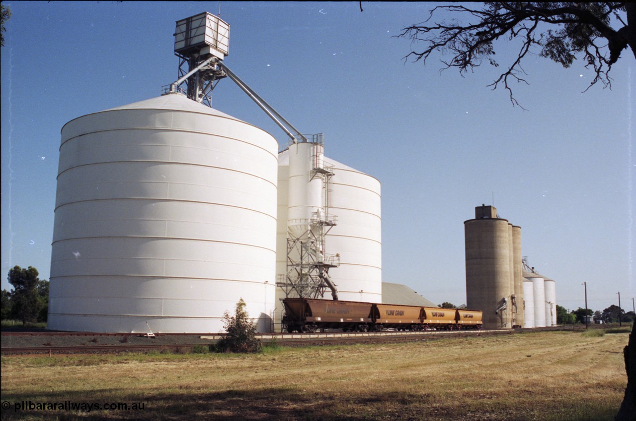 130-06
Elmore silo complex, looking north, V/Line Grain bogie grain waggons, overview of complex, Ascom Jumbo. Williamstown and Ascom style silos, with Victorian Oat Pool shed behind waggons.
