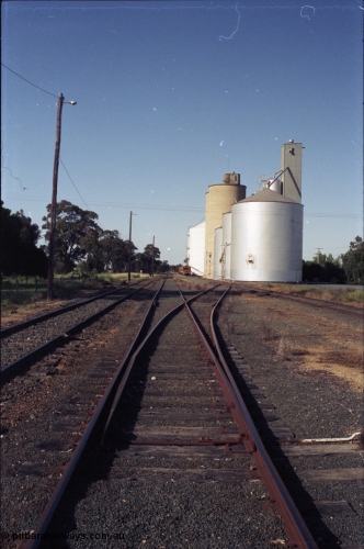 130-01
Elmore station yard overview, looking south to silo complex consisting of Ascom steel silos, then Williamstown concrete and Ascom Jumbo steel behind.
