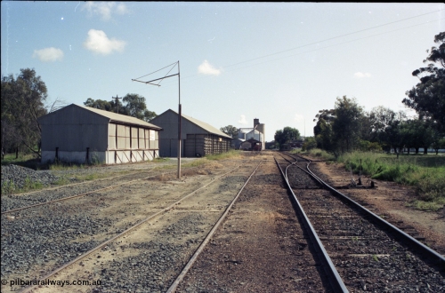 130-14
Rochester yard overview, looking north, super phosphate shed and Victorian Oat Pool grain shed at left, points set for platform road, silos and goods shed in background.
