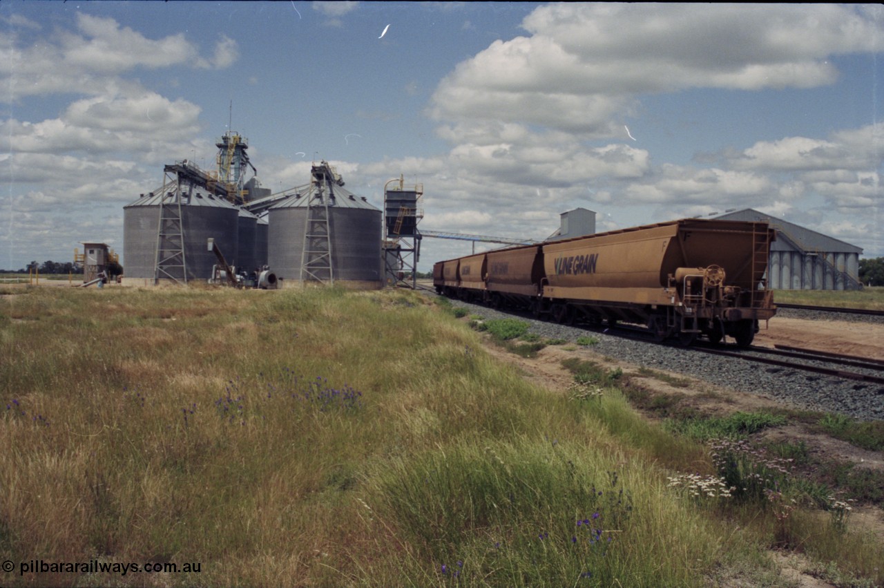 131-1-24
Burraboi Aquila silo complex, V/Line Grain bogie grain waggons, looking south.
