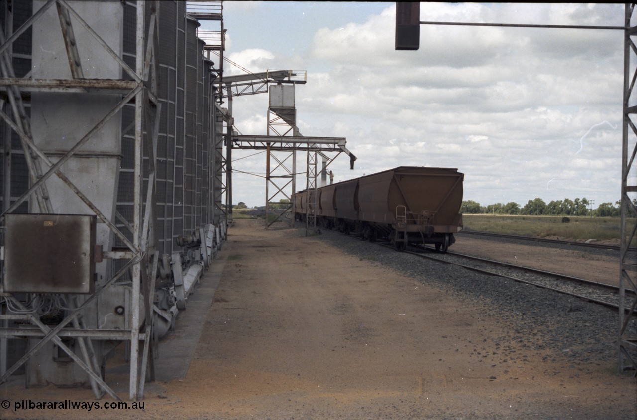 131-2-03
Burraboi grain waggons being loaded, Burraboi, south end of Aquila silo complex.
