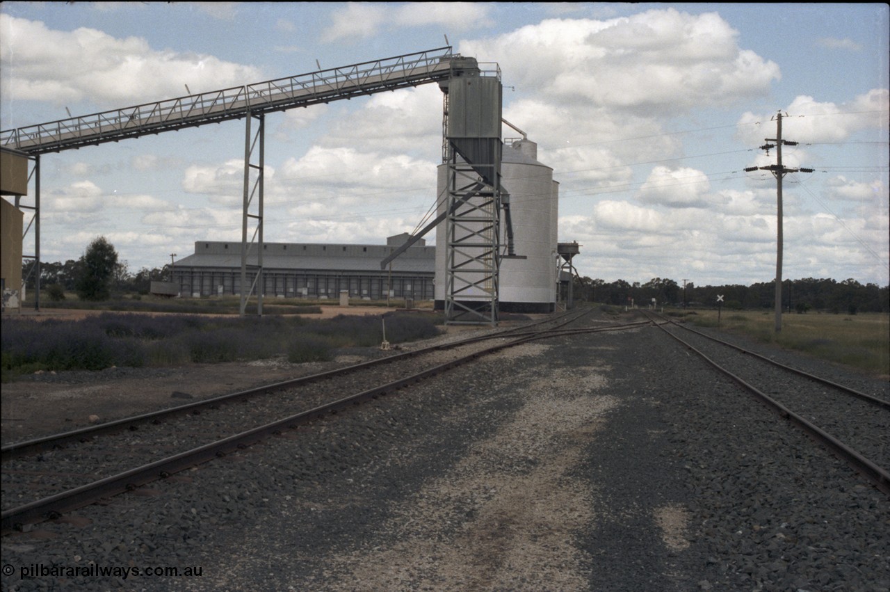 131-2-09
Moulamein yard view, Ascom silo complex in-between rice outflow spouts, point lever, south end.
