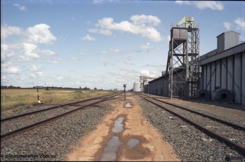 131-2-14
Caldwell track view, rice storage sheds, Ascom silo complex in the background, points and point lever, loading spouts.
