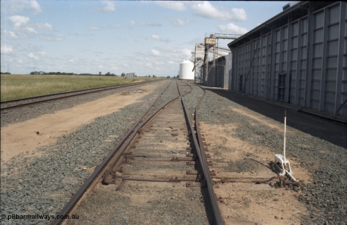 131-2-15
Caldwell track view, rice storage sheds, Ascom silo complex in the background, points and point lever, loading spouts.
