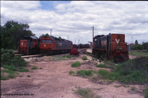 132-18
Mildura loco depot overview looking south, V/Line broad gauge locos X class X 32 Clyde Engineering EMD model G16C serial 66-485, G class G 512 Clyde Engineering EMD model JT26C-2SS serial 84-1240 and Y class Y 165 Clyde Engineering EMD model G6B serial 68-585 on the pit road.
Keywords: Y-class;Y165;Clyde-Engineering-Granville-NSW;EMD;G6B;68-585