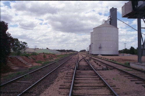 132-28
Carwarp, yard overview, Ascom silo complex, ground bunker on the left, station platform remnants at left, points for grain siding.
