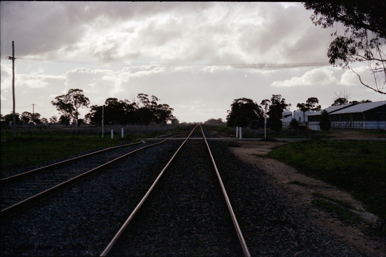 136-08
Mathoura looking north, end of yard, very dark.
