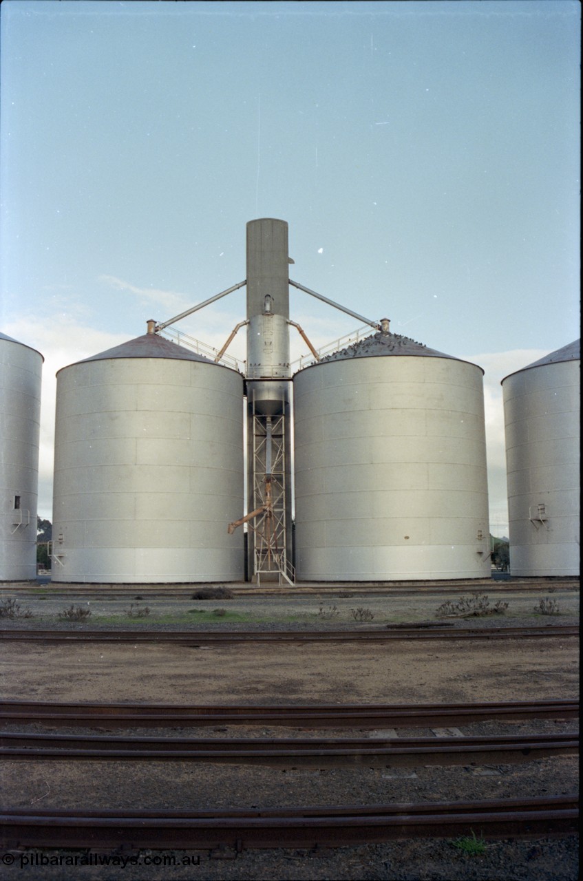 136-18
Deniliquin Ascom style silo complex, track view, loading spout and surge silo.
