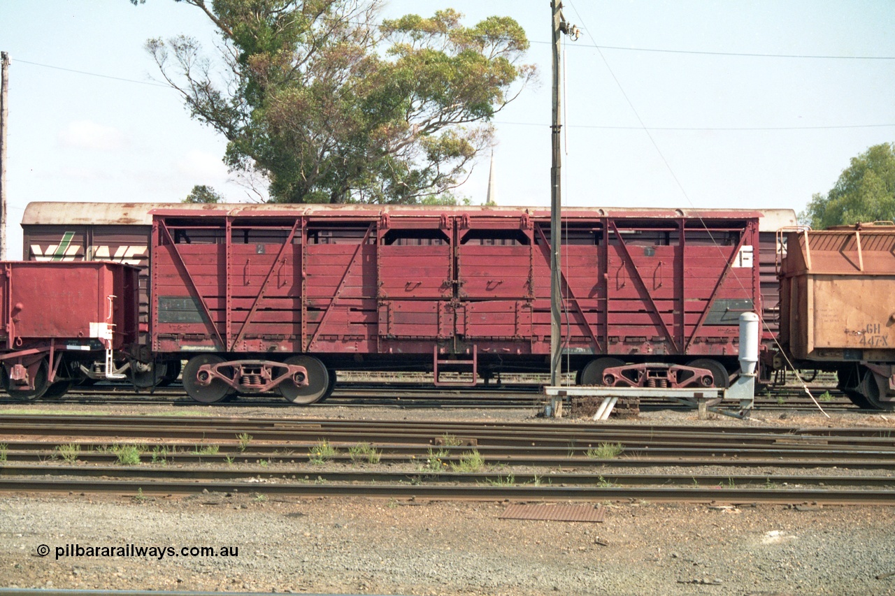 138-04
Bendigo yard, MM class bogie livestock waggon, primarily for cattle haulage, stored.
