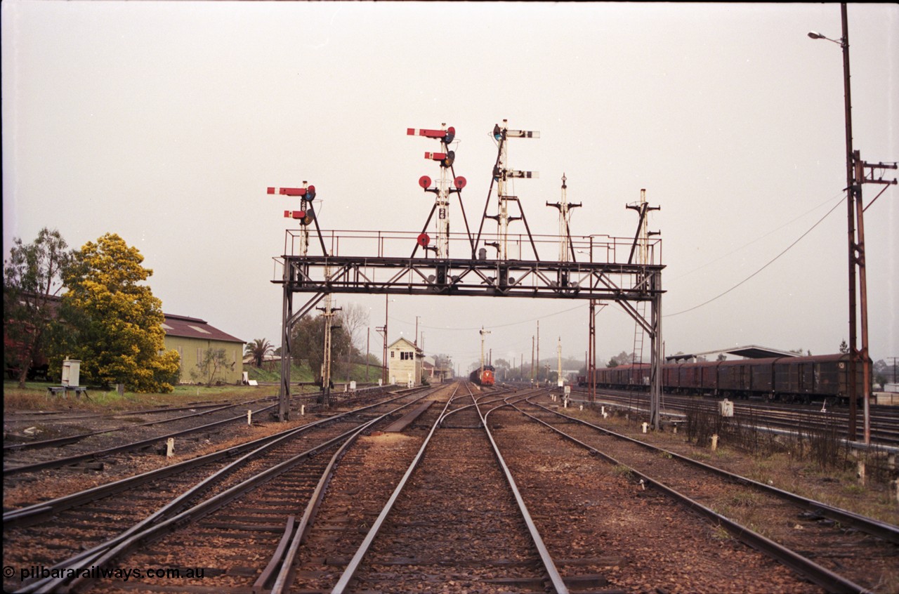142-1-22
Benalla station yard overview from the Yarrawonga line double compound points looking south, signal gantry has disc posts 23 and 24 stripped and post 25 partially stripped, signal post 27 is stripped, workshops at left, B signal box, station and stabled goods train 9303 in the background.
