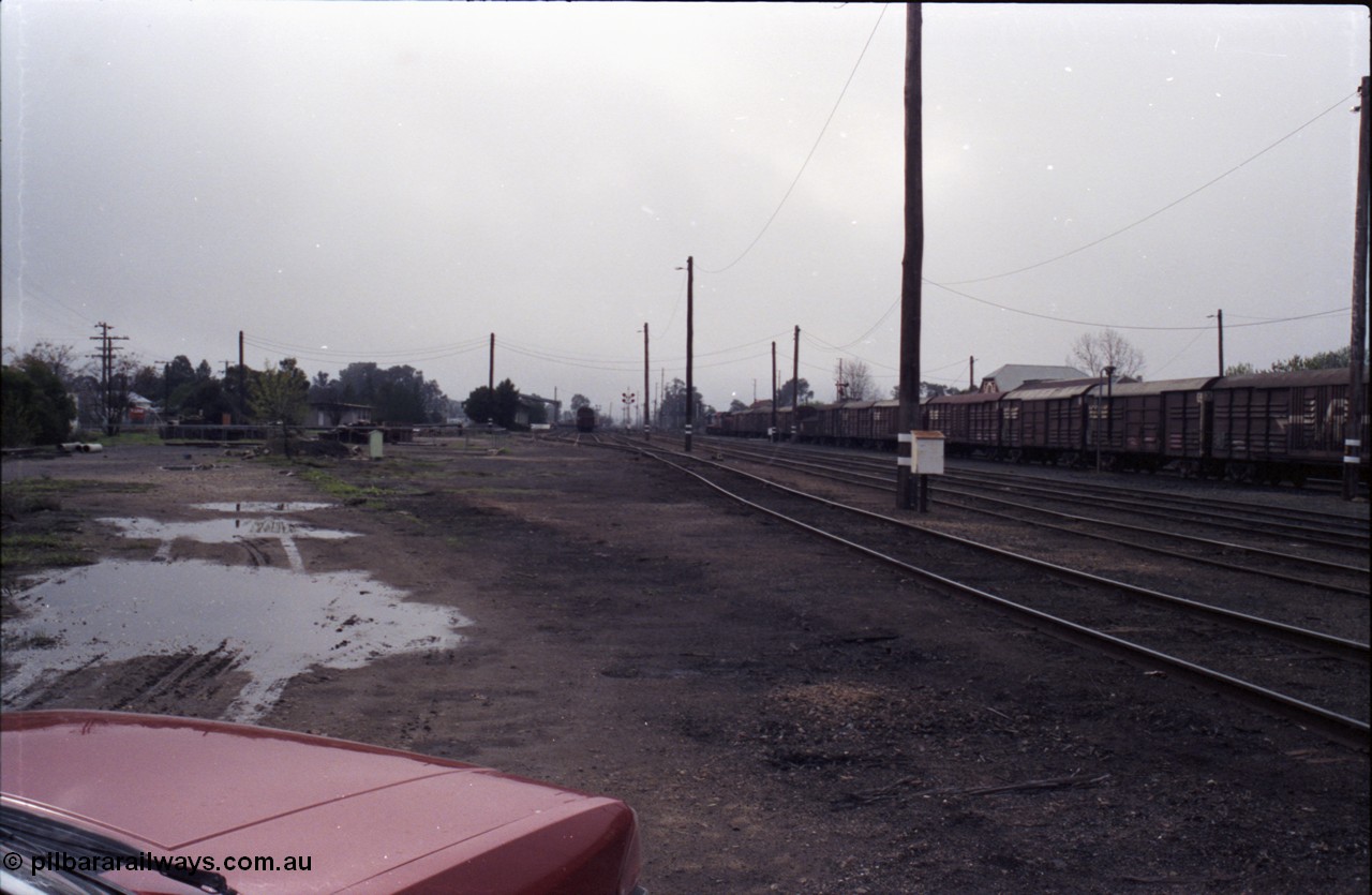 142-1-36
Benalla yard overview looking north down the goods yard, removed siding is evident, stabled Wodonga goods train 9303 at right
